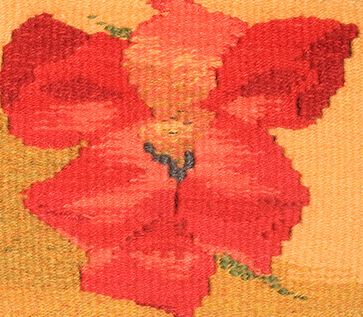 Dog-Face Flower