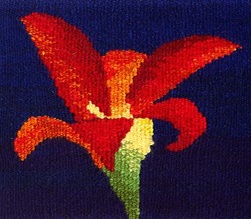 Christmas Lily