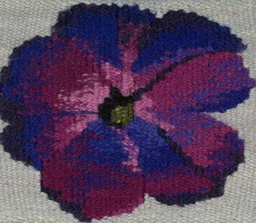 Petunia