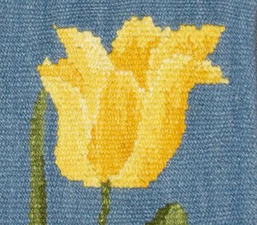 Tulip